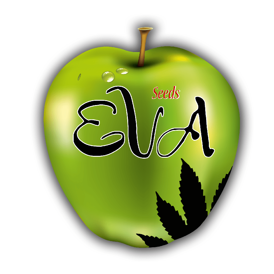 Eva Seeds - MirageSeeds