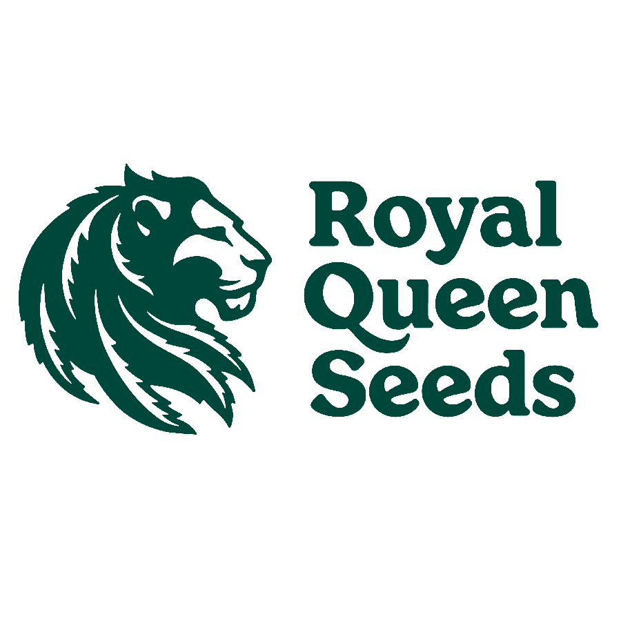 Royal Queen Seeds - MirageSeeds