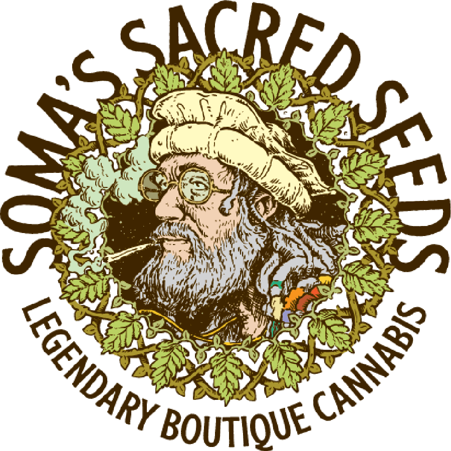 Soma Seeds - MirageSeeds