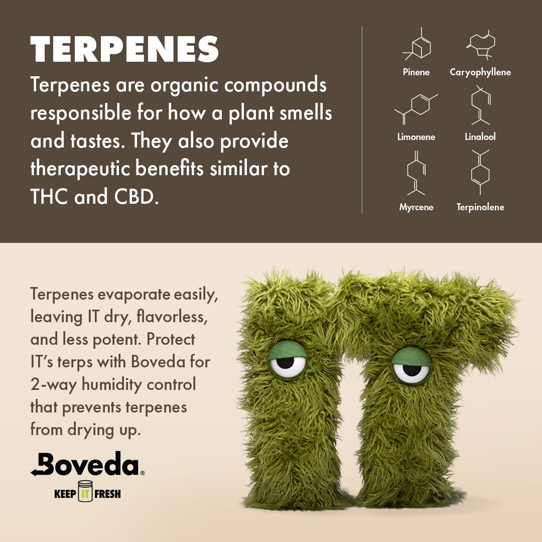 5 Stück x 4g Beutel Boveda - 62% Luftfeuchtigkeit - MirageSeedsBoveda5 Stück x 4g Beutel Boveda - 62% Luftfeuchtigkeit