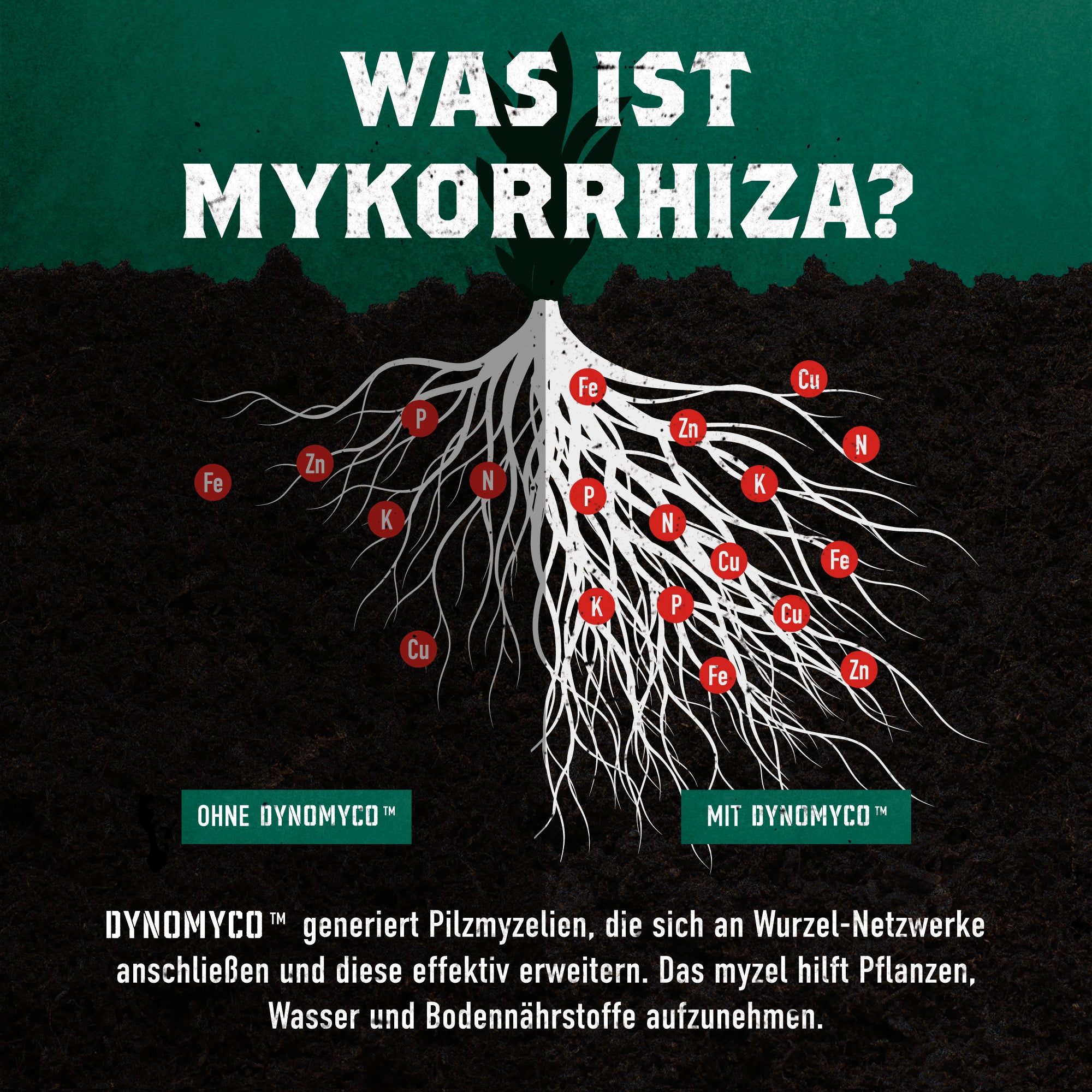 DynoMyco Mykorrhiza