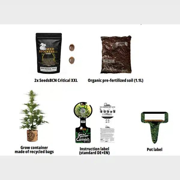 All - inclusive Starterkit mit Samen - MirageSeedsSeedstockersAll - inclusive Starterkit mit SamenCannabissamen