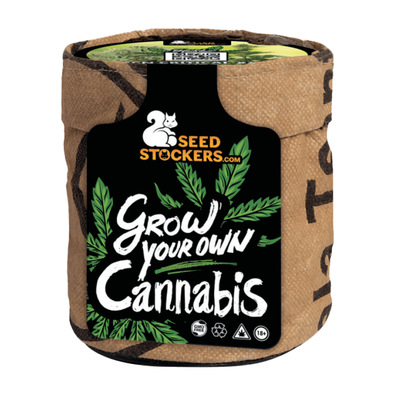 All - inclusive Starterkit mit Samen - MirageSeedsSeedstockersAll - inclusive Starterkit mit SamenCannabissamen