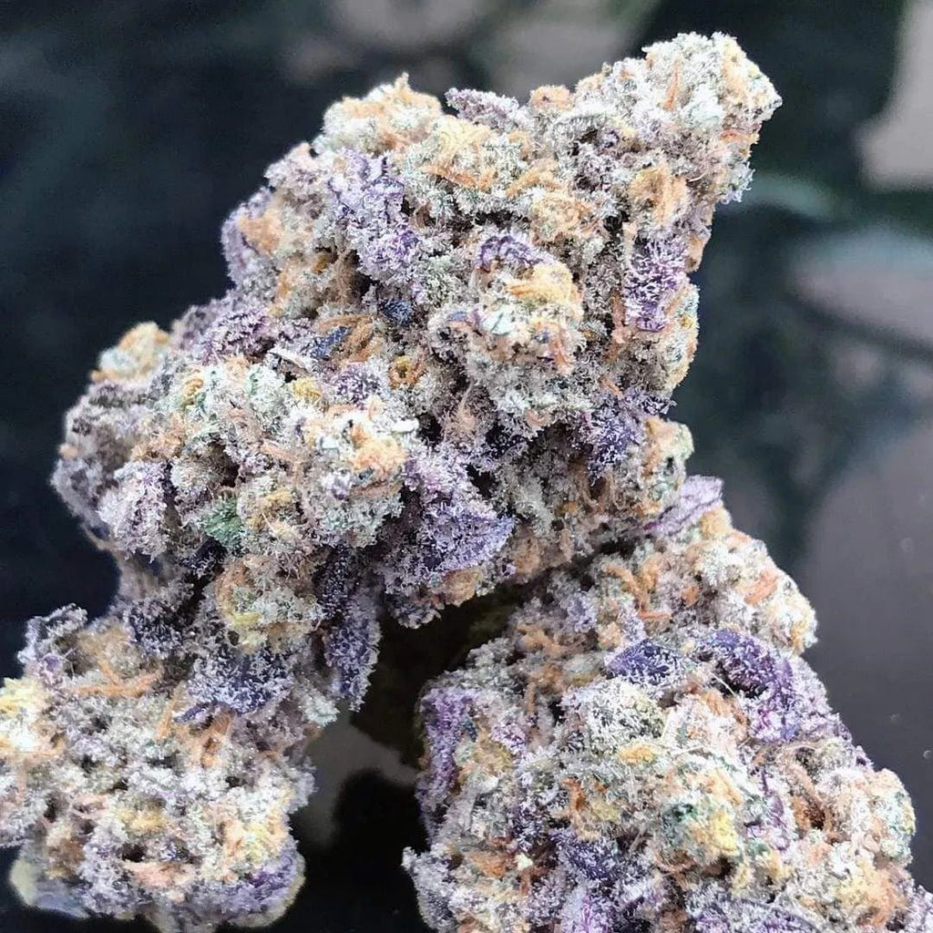 Blue Zushi - MirageSeedsGrowers ChoiceBlue ZushiCannabissamen