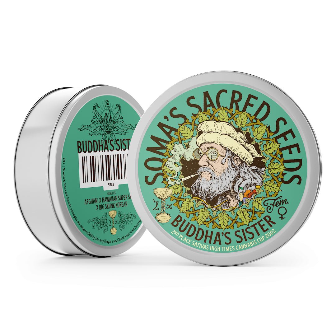 Buddha´s Sister - MirageSeedsSoma SeedsBuddha´s SisterCannabissamen