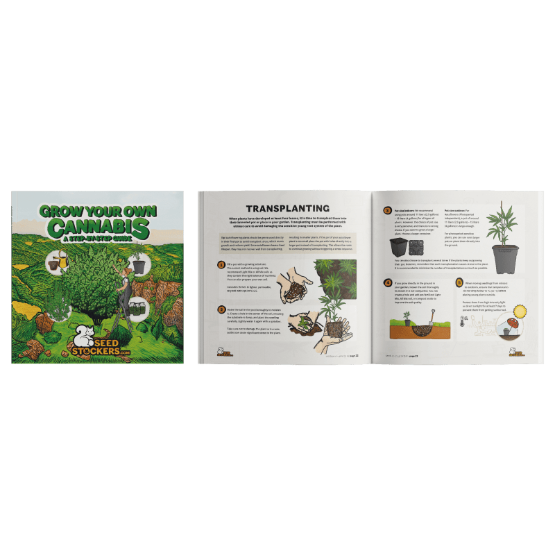 Cannabis Growguide (Seedstockers) - MirageSeedsSeedstockersCannabis Growguide (Seedstockers)
