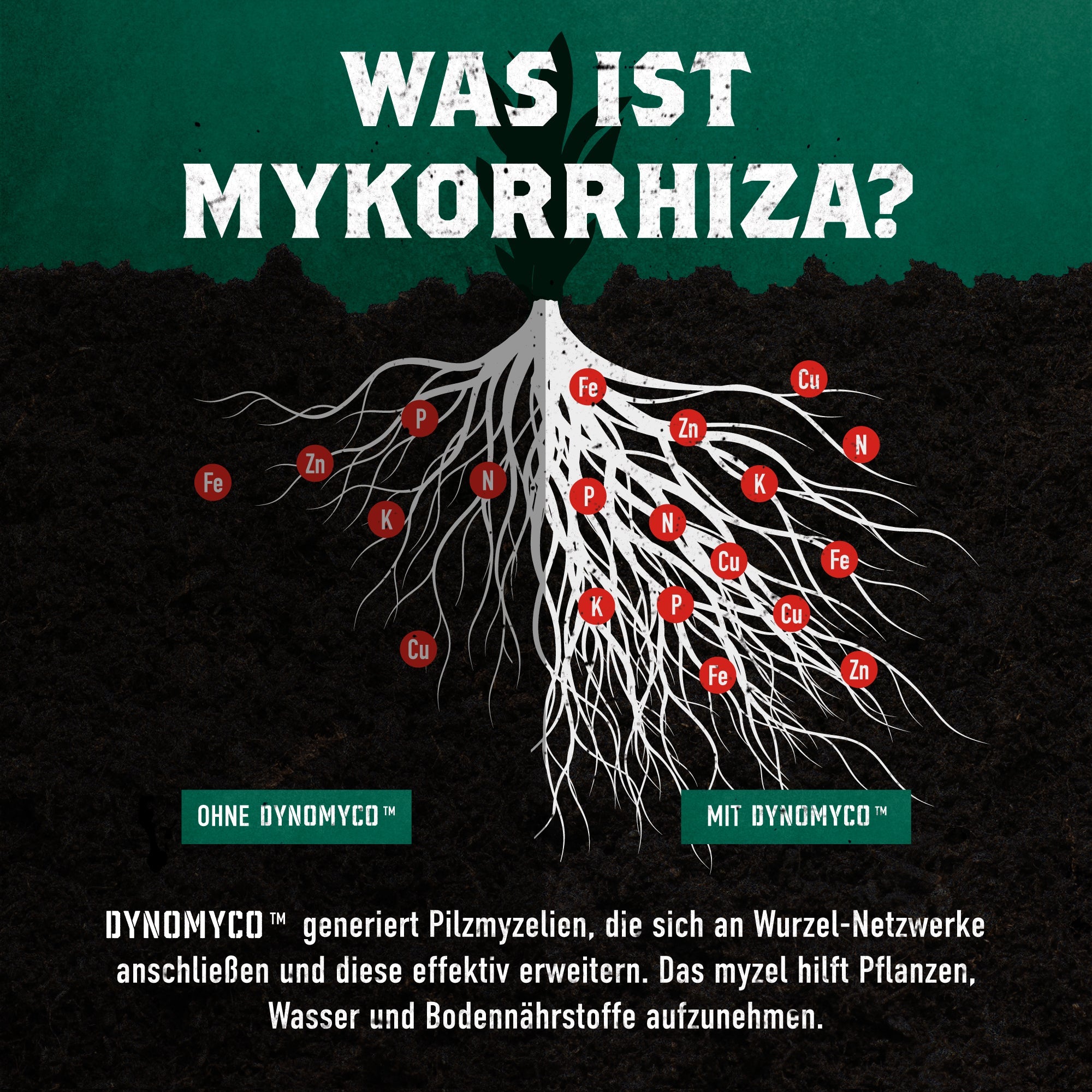 DynoMyco Mykorrhiza - MirageSeedsDynomycoDynoMyco Mykorrhiza