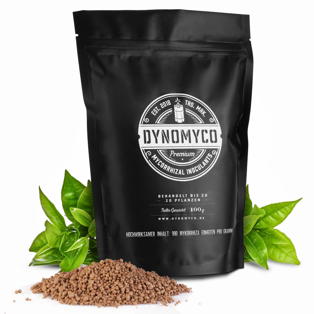 DynoMyco Mykorrhiza - MirageSeedsDynomycoDynoMyco Mykorrhiza