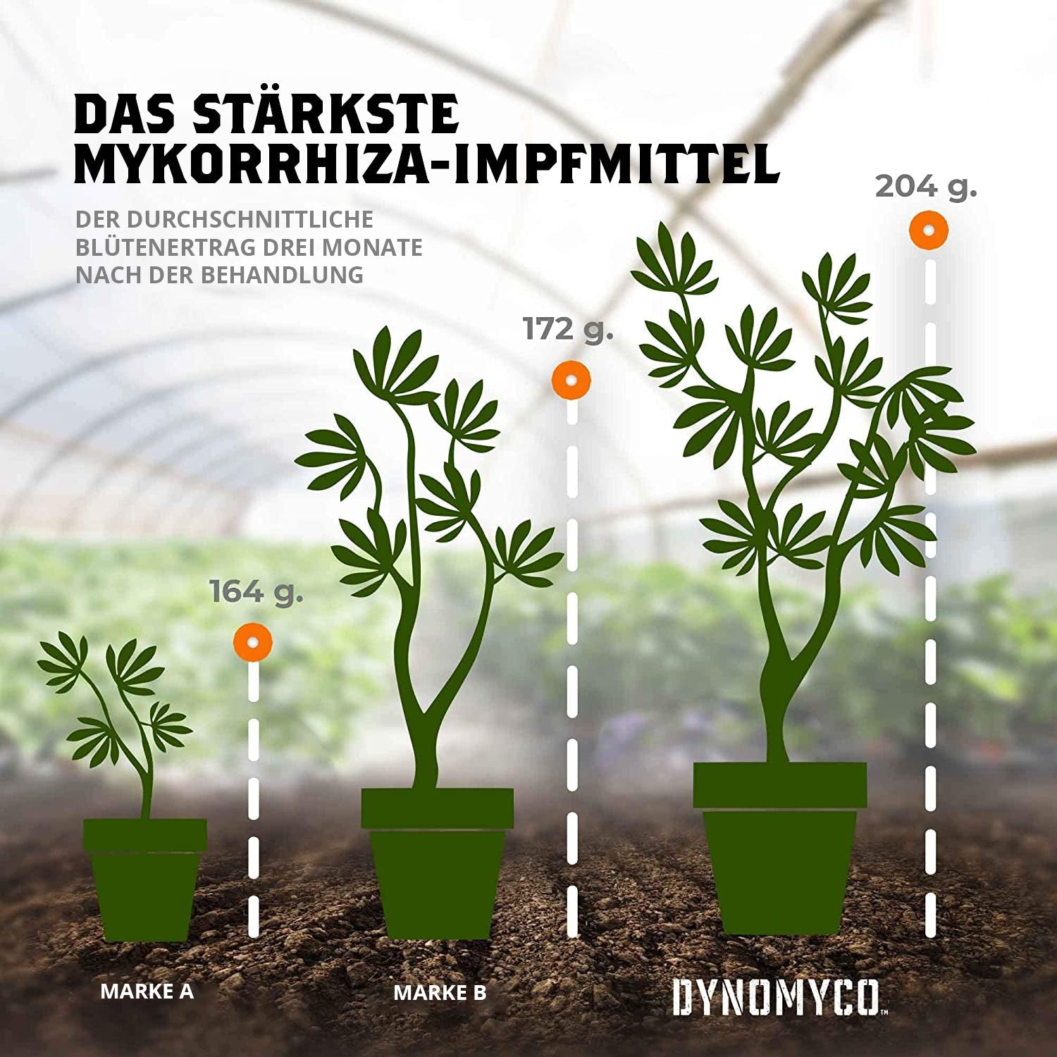 DynoMyco Mykorrhiza - MirageSeedsDynomycoDynoMyco Mykorrhiza