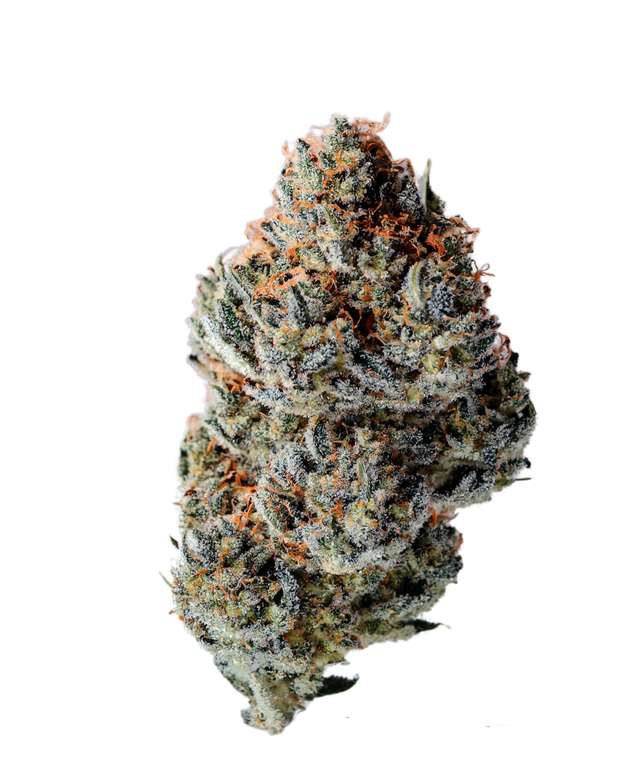 Toad Venum Auto - Growers Choice