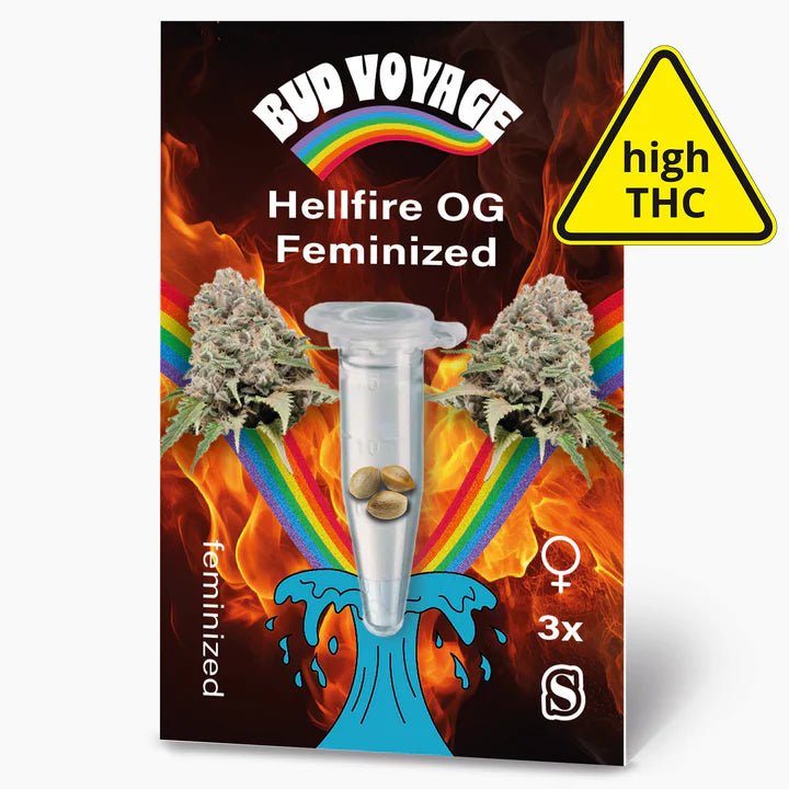 Hellfire OG BudVoyage - MirageSeedsBud VoyageHellfire OG BudVoyageCannabissamen