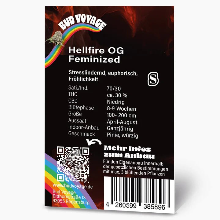 Hellfire OG BudVoyage - MirageSeedsBud VoyageHellfire OG BudVoyageCannabissamen