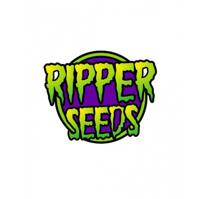 K - Mintz Auto - MirageSeedsRipper SeedsK - Mintz AutoCannabissamen