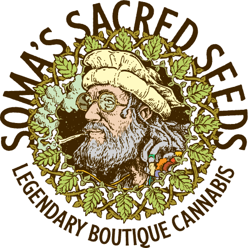 Lavender1 - MirageSeedsSoma SeedsLavender1Cannabissamen