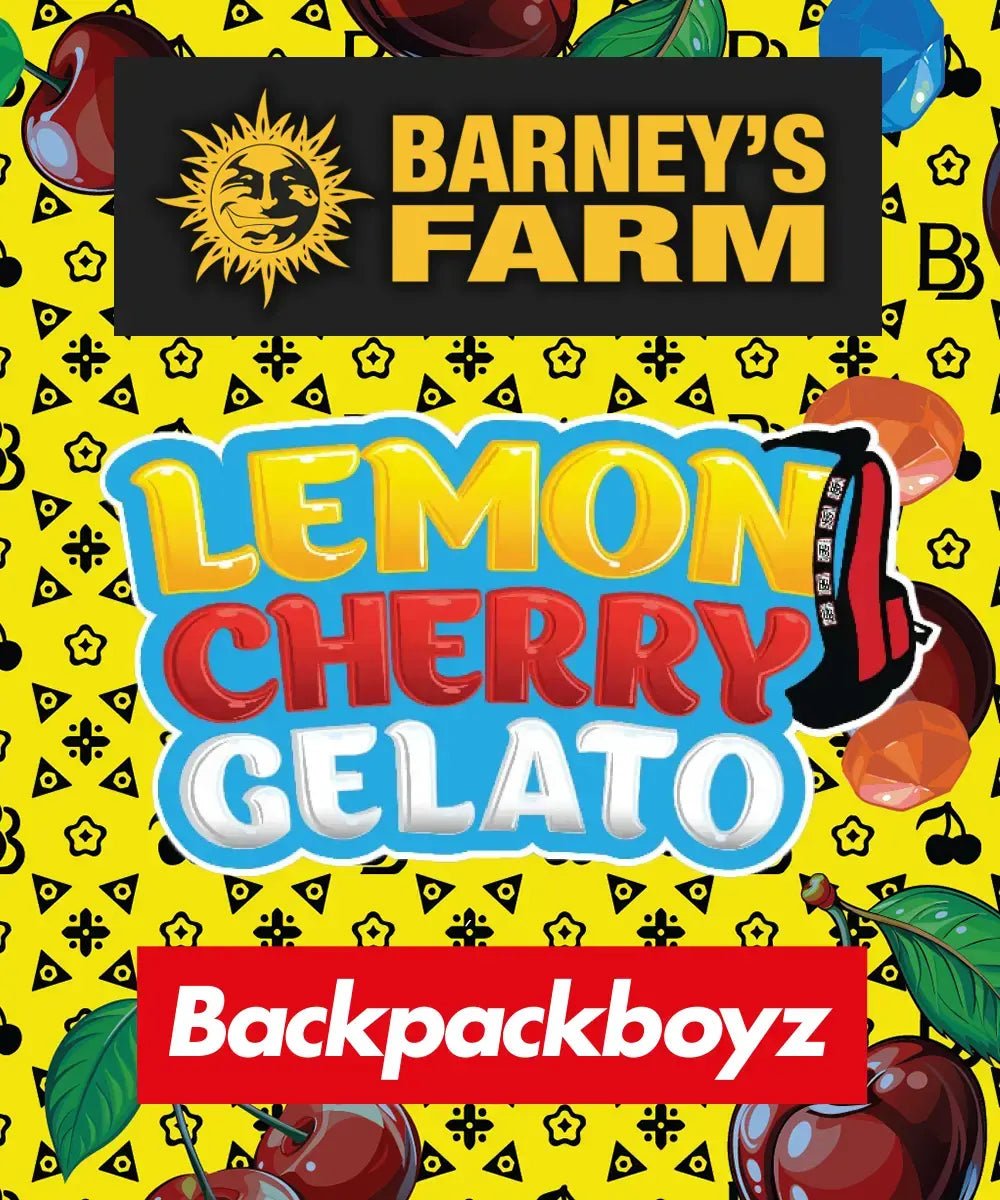 Lemon Cherry Gelato - MirageSeedsBarneys FarmLemon Cherry GelatoCannabissamen