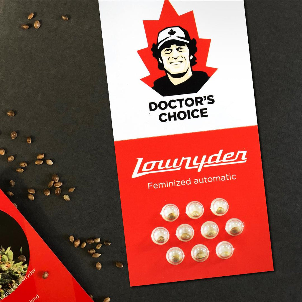 Low Ryder IBL Autoflower - MirageSeedsDoctors ChoiceLow Ryder IBL AutoflowerCannabissamen