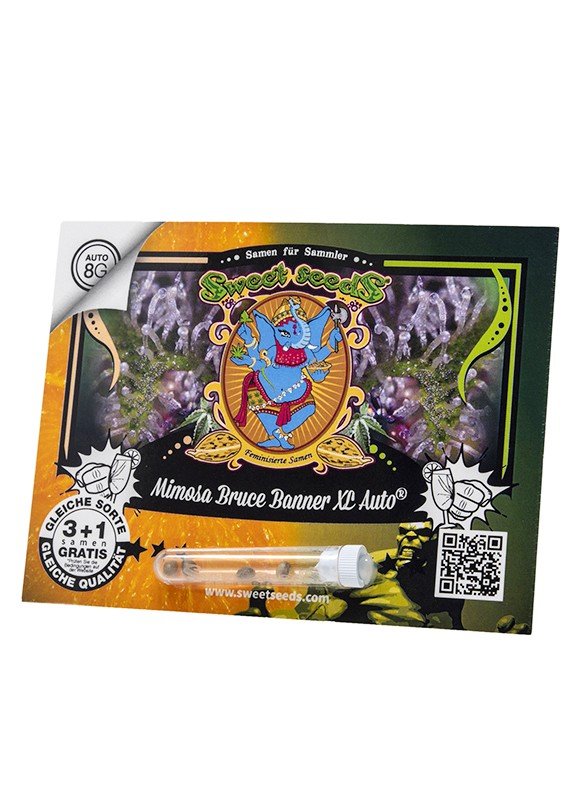 Mimosa Bruce Banner XL Auto - MirageSeedsSweet SeedsMimosa Bruce Banner XL AutoCannabissamen