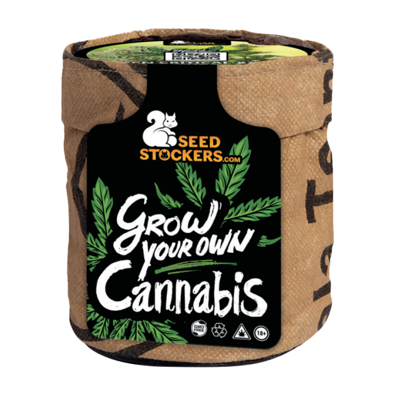 All-inclusive Starterkit mit Samen