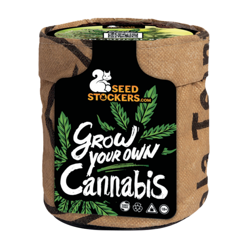 All-inclusive Starterkit mit Samen