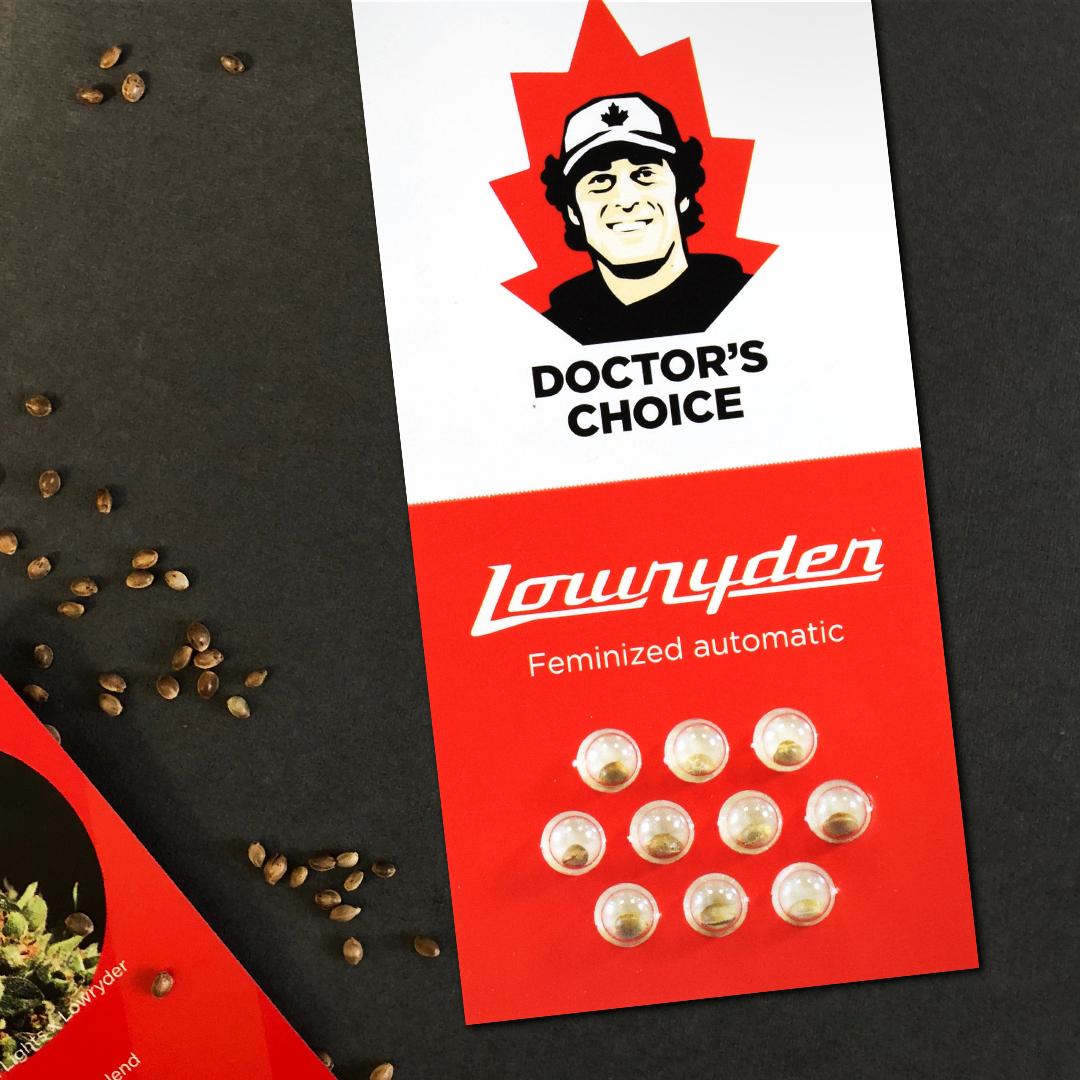 Low Ryder IBL Autoflower