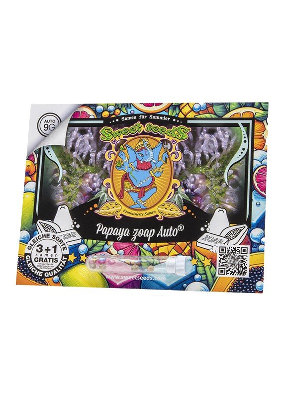 Papaya Zoap Auto - MirageSeedsSweet SeedsPapaya Zoap AutoCannabissamen