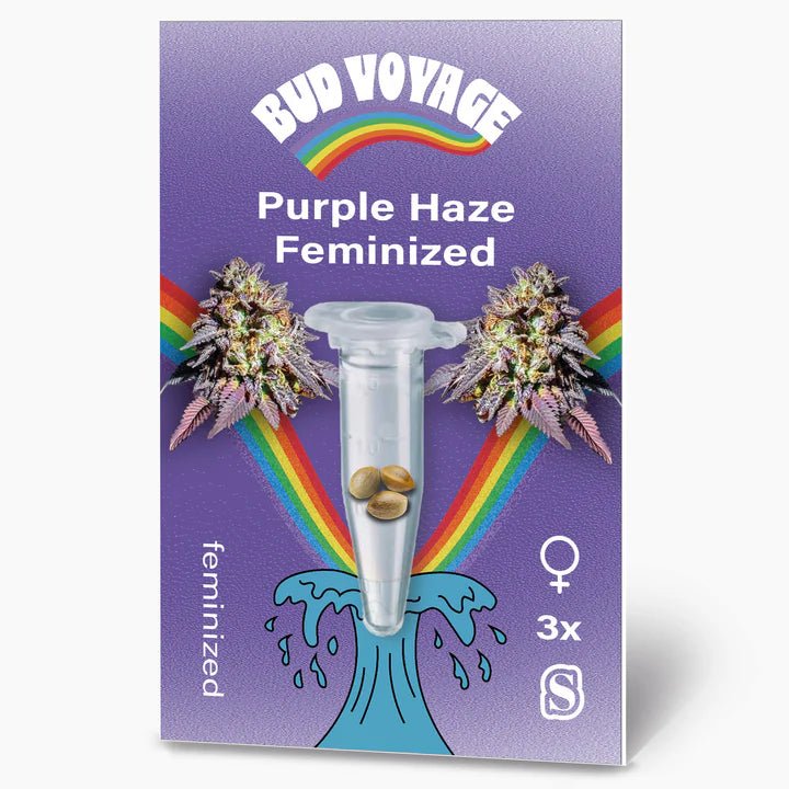 Purple Haze BudVoyage - MirageSeedsMirageSeedsPurple Haze BudVoyage