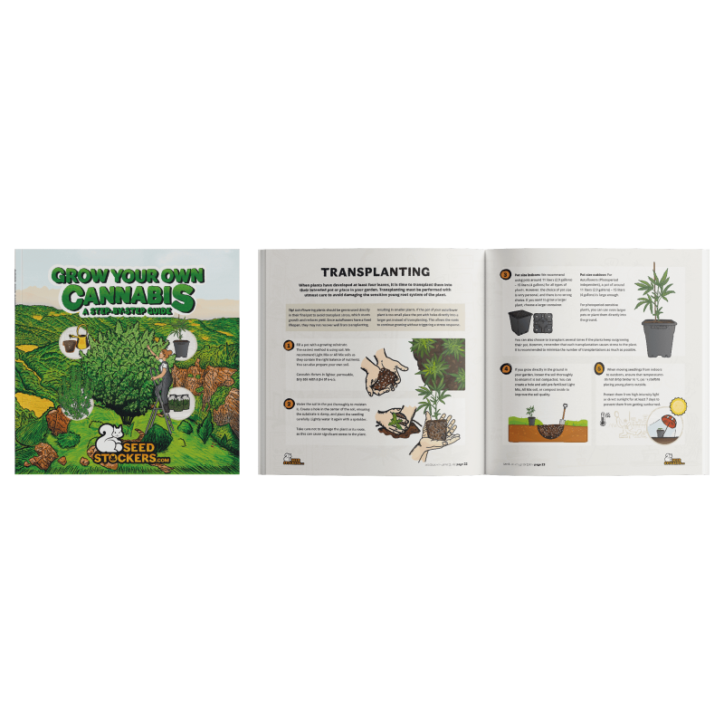 Cannabis Growguide (Seedstockers)