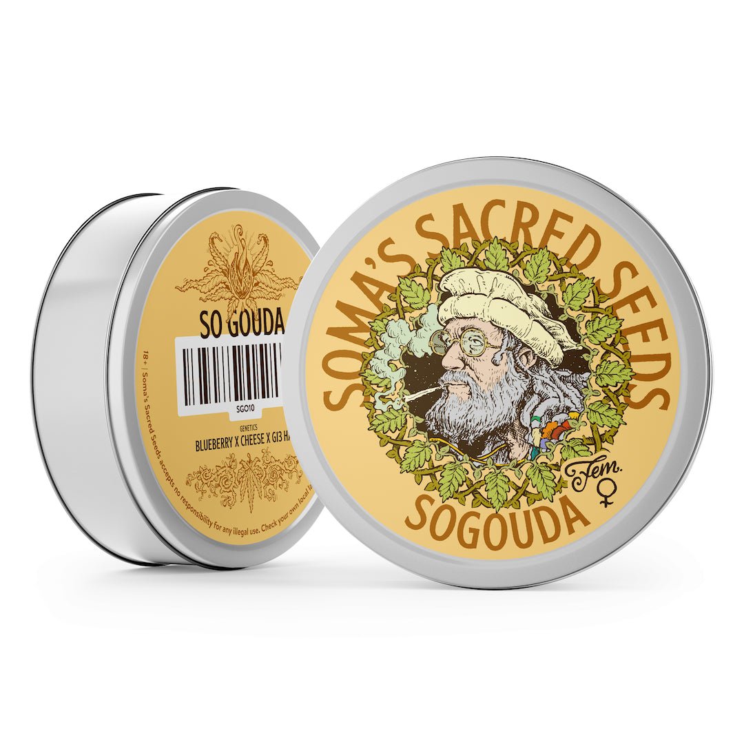 SoGouda - MirageSeedsSoma SeedsSoGoudaCannabissamen
