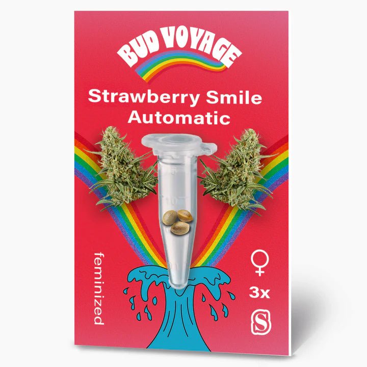 Strawberry Smile Auto BudVoyage - MirageSeedsBud VoyageStrawberry Smile Auto BudVoyageCannabissamen